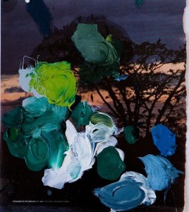 Erik de Bree, Improved Photograph #8, 2010, oil on paper, 22 x 25 cm